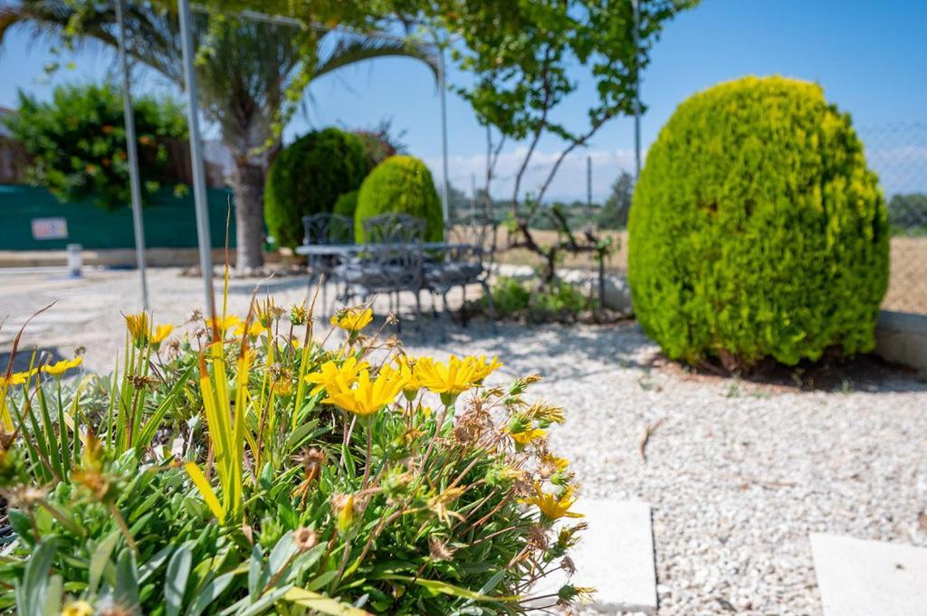 Villa Bimini ارغاكه المظهر الخارجي الصورة